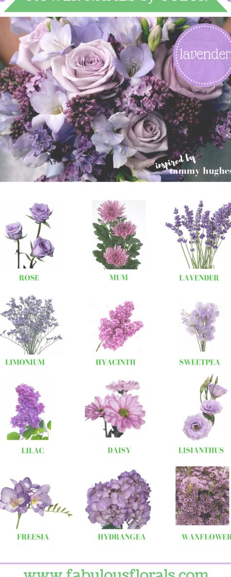 Wedding Lavender Decorations, Wedding Centerpieces Cottagecore, Purple Flower Types, Lavender Colored Flowers, Types Of Flowers For Bouquet, Lavender Color Flowers, Ultraviolet Wedding, Purple Garden Wedding, Purple Wedding Flower