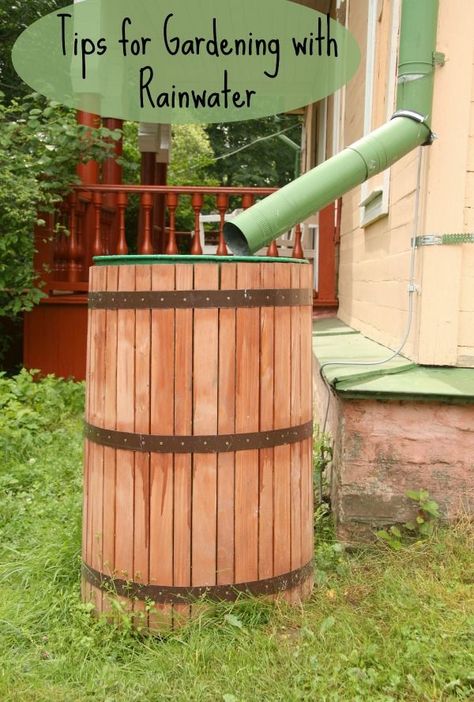 Tips for Gardening with Rainwater Box Gardens, Rain Barrel System, Sustainable Garden Design, Garden Bed Plans, Ways To Conserve Water, Water From Air, Raised Garden Bed Plans, Rainwater Harvesting System, Rainwater Harvesting