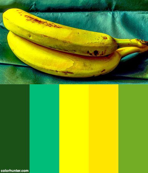 Banana On A Warm Afternoon Color Scheme from colorhunter.com Restaurant Colour Pallete, Banana Color Palette, Sea Palette, Jamaican Colors, Colour Crush, Analogous Color Scheme, Restaurant Icon, Personal Logo Design, Green Palette