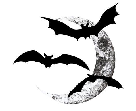 Bats Rib Tattoo, Moon Bats Tattoo, Crescent Moon With Bats Tattoo, Bat Tattoo On Ribs, Bat And Moon Drawing, Bat Moon Tattoo, Moon Bat Tattoo, Moon With Bats Tattoo, Moon And Bats Tattoo