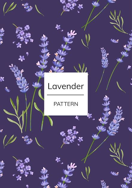 Drawn Lavender, Lavender Pattern, Lavender Watercolor, Lavender Flower, Lavender Flowers, Flower Pattern, Premium Vector, Hand Drawn, Lavender