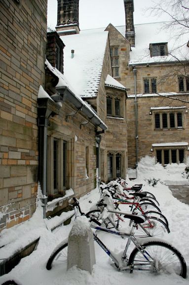 Romanticize University, Yale Aesthetic University, Yale University Aesthetic Wallpaper, Yale Architecture School, Yale University Campus, Yale Aesthetic, Snowy University, Harvard Yale, Yale Bulldogs