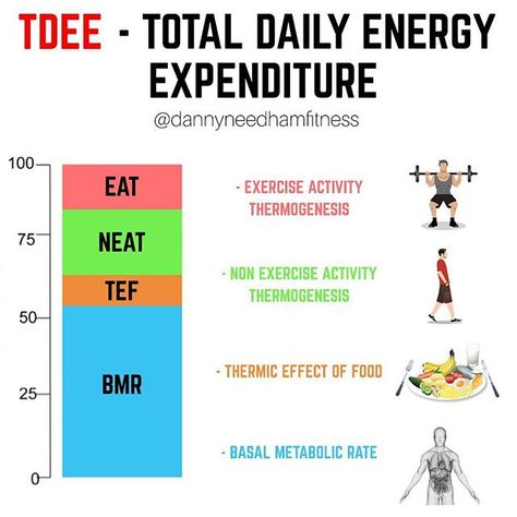 TOTAL DAILY ENERGY EXPENDITURE 🔥 . Okay to put it simply, this is the amount of energy / calories you burn on a given day. Each day is going to be different dependent on various factors! And I will explain each below! 👇🏼👇🏼 . ▪️BMR - basal metabolic rate. So this is the amount of calories you would burn if you got out of bed or not! 👍🏼 We all require a certain amount of energy just for our bodies to perform their normal bodily functions! The bigger you are, the higher the BMR. Quite surpri Non Exercise Activity Thermogenesis, Unilateral Exercises, Fitness Knowledge, I Need Motivation, Basal Metabolic Rate, Caloric Deficit, Exercise Activities, Key To Losing Weight, House Work