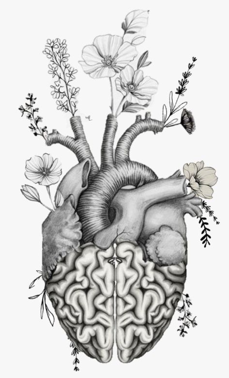 Anatomy And Nature Tattoo, Tattoo Ideas Heart And Brain, Anatomical Heart Stencil, Anatomical Heart Sleeve Tattoo, Head And Heart Balance Tattoo, Heart And Flowers Drawings, Anatomical Heart And Brain Tattoo, Human Heart Art Aesthetic, Realism Heart Tattoo