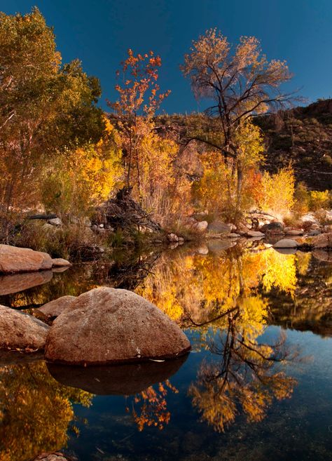 Sabino Canyon, Tucson, Arizona  ~saw my first roadrunner here! Sabino Canyon Arizona, Arizona Honeymoon, Gold Canyon Arizona, Sunrise Grand Canyon, The Grand Canyon Photography, Stoddard Canyon Falls, Reflection Pictures, Visit Arizona, Arizona Vacation