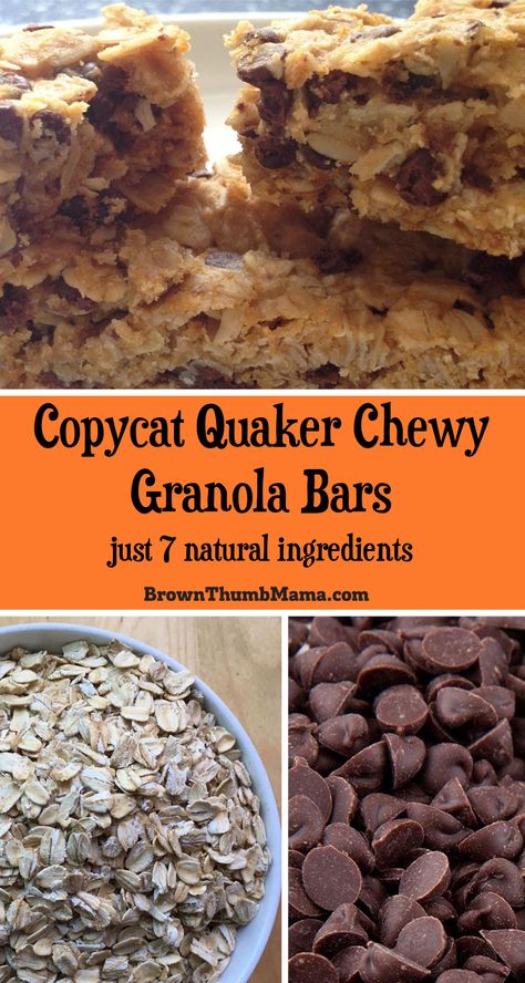 Quaker Chewy Granola Bars, Lunch Stuff, Healthy Granola, Healthy Granola Bars, Chewy Granola Bars, Granola Recipe Bars, Chewy Granola, Diy Snacks, Homemade Granola Bars