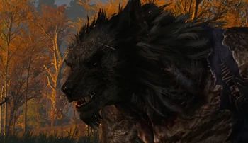 Berem | Witcher Wiki | Fandom Witcher Werewolf, Witcher Medallion, Wolf Artwork, Werewolf Art, The Witcher 3, Take Back, Special Effects, Brown Hair Colors, The Witcher