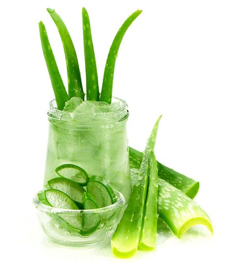 Diy Mouthwash Recipes, Diy Mouthwash, Homemade Mouthwash, Aloe Vera Shampoo, Aloe Vera Benefits, Aloe Vera For Skin, Toenail Fungus Remedies, Aloe Vera Oil, Chamomile Essential Oil