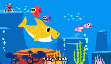 Baby Shark Fish GIF - BabyShark Fish Swim - Discover & Share GIFs Baby Shark Song Lyrics, Baby Shark Wallpaper, Baby Shark Youtube, Shark Gif, Swimming Gif, Shark Background, Fish Gif, Shark Wallpaper, Shark Activities