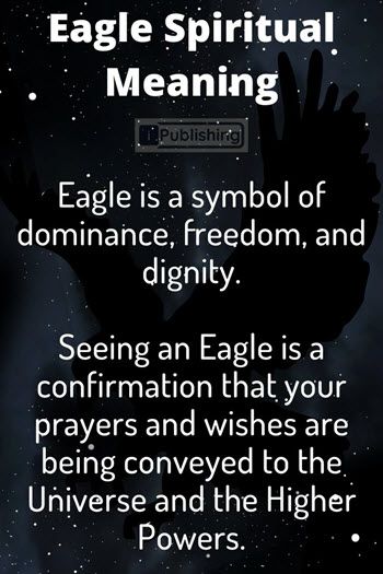 Seeing an Eagle Meaning - The eagle is one of the most revered birds of prey because of its supreme flying and hunting prowess. The bald eagle is what most Seeing An Eagle Meaning, Bald Eagle Meaning, Bald Eagle Symbolism, Bald Eagle Spiritual Meaning, Eagle Spiritual Meaning, Eagle Meaning, Eagle Symbolism, Empath Traits, Angel Meditation