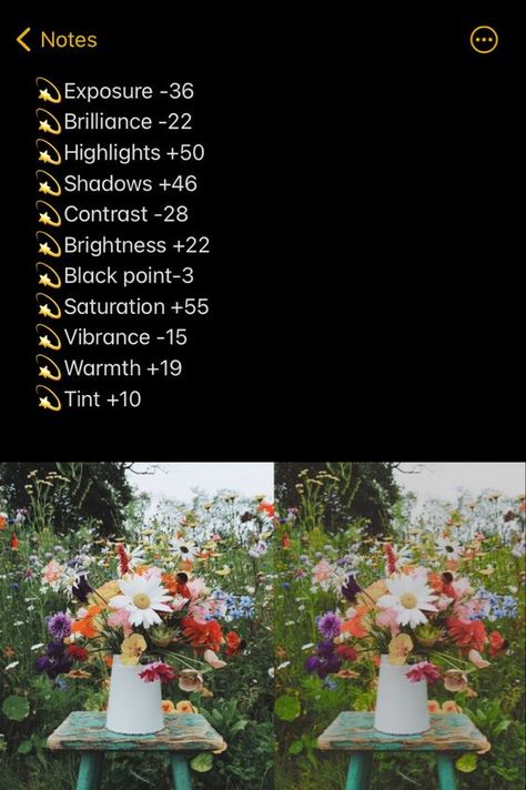 Photo Editing Apple Photos, Iphone Editing Pictures Bright, Apple Photos Edit, Retro Photo Edit Iphone, Apple Editing Presets, Apple Photos Presets, Iphone Editing Presets, Flower Photo Edit Iphone, Nature Picture Editing