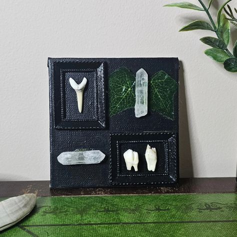 🦷 Haunted cottagecore framed teeth and quartz points 🌿 available on the etsy! 🔗 In bio 🫀 #taxidermy #odditiesandcuriosities #oddities #witchcraft #witchaesthetic #witchesofaustralia #witchshop #witchyart #handmade #oddity #handmadeart #brisbanewitch #brisbanebusiness #Australianmade #smallartist #smallbusiness Haunted Cottagecore, Oddities Collection, W.i.t.c.h Aesthetic, Witch Shop, Thrift Stores, Quartz Points, Taxidermy, Handmade Art, Witch