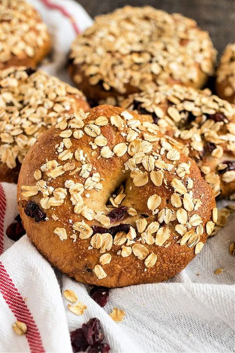 Cranberry Oat Bagels #yeast #breadflour #wholewheatflour #honey #cranberry #cornmeal #oat #barleymaltsyrup #breakfast #breakfastrecipe #bagel #baking | CPA: Certified Pastry Aficionado Cranberry Bagels, Cranberry Walnut Bagel Recipe, Cranberry Orange Bagels, Buckwheat Flour Bagels, Whole Wheat Bagel, Whole Wheat Flour, Bread Flour, Barley, Dried Cranberries