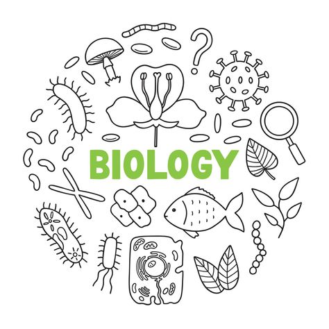 Biology Doodles Aesthetic, Biology Sketches Drawings, Biology Drawing Ideas Easy, Science Doodles Biology, Biology Doodle Art, Zoology Assignment Front Page, School Book Covers Biology, Biology Practical File Cover, Biology Art Design