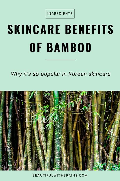 Bamboo Extract Benefits, Skincare Science, Skincare Advice, Antiaging Skincare, Skincare Hacks, Skincare 101, Skincare Benefits, Bamboo Extract, Korean Skincare Routine