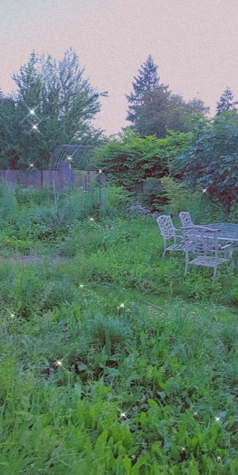 A pretty backyard Overgrown Backyard, Pretty Backyard, Native Gardens, Native Garden, Backyard Ideas, Stepping Stones, Lawn, Yard, Natural Landmarks