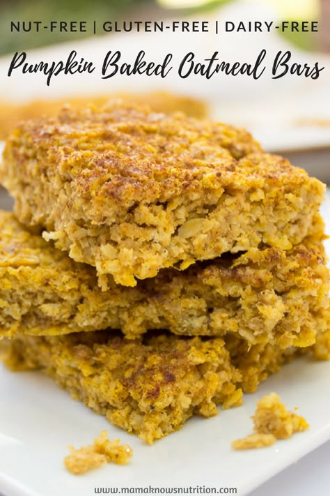 Baked Oatmeal Bars, Pumpkin Baked Oatmeal, Oatmeal Bars Healthy, Baked Pumpkin Oatmeal, Toddler Nutrition, No Bake Oatmeal Bars, Pumpkin Oats, Dairy Free Pumpkin, Baked Oatmeal Recipes