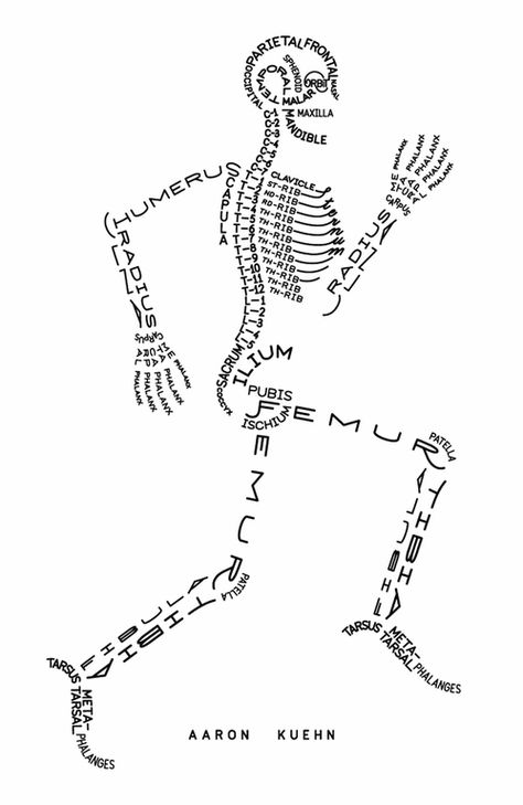 Spine Illustration, Spine Art, Body Bones, Anatomy Bones, Skeletal System, Medical School Studying, Human Body Systems, Medical Studies, Body Systems