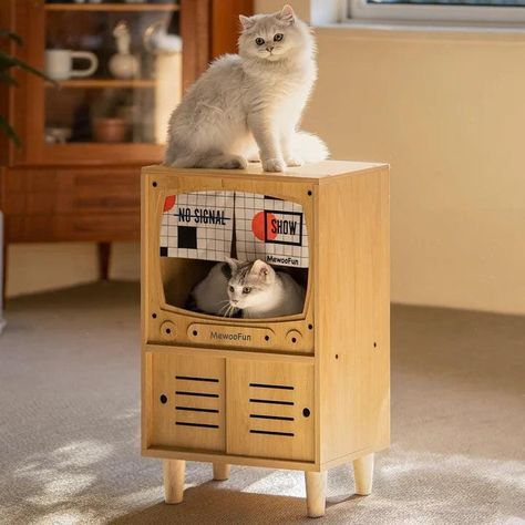 Cardboard cat house