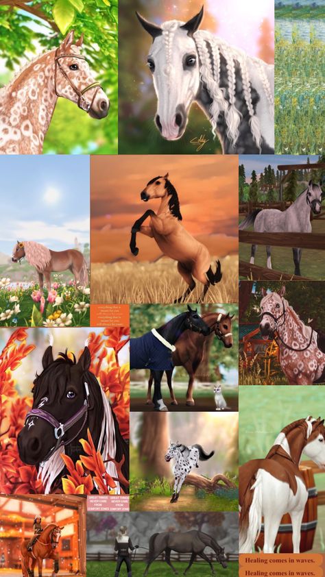 #pferde #sso #starstableonline #game #editedphotos Star Stable Online, Star Stable Horses, Equine Artwork, Drawing Stars, Star Stable, Horse Names, Horse Drawing, Ranch Life, Horse Jumping