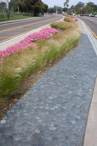 Grand Avenue Median Improvements Public Garden Architecture, Sidewalk Landscaping, Streetscape Design, Seaside Garden, Commercial Landscaping, Grasses Landscaping, Landscape Architecture Design, Garden Architecture, Landscape Architects