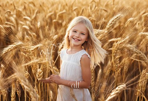 Wheat Digital Background Wheat Field Digital Background Golden Wheat Backdrops Wheat Field Studio Decor Wheat Bliss Photoshoot Overlays by AlfCreativeStudio on Etsy Autumn Family Photos, Golden Wheat, Wheat Field, Wheat Fields, Feb 5, Studio Decor, Digital Artists, Children And Family, Digital Background