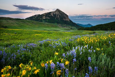 Crested Butte Summer, Crested Butte Colorado, Explore Colorado, Painting Reference, Maroon Bells, Crested Butte, Colorado Elopement, Colorado Travel, Free Camping