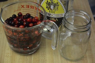 Cranberry Tincture Recipe, Cranberry Tincture, Bro And Sis, Tinctures Recipes, Food Canning, Cranberry Extract, Sugared Cranberries, Homemade Products, Herbal Tinctures