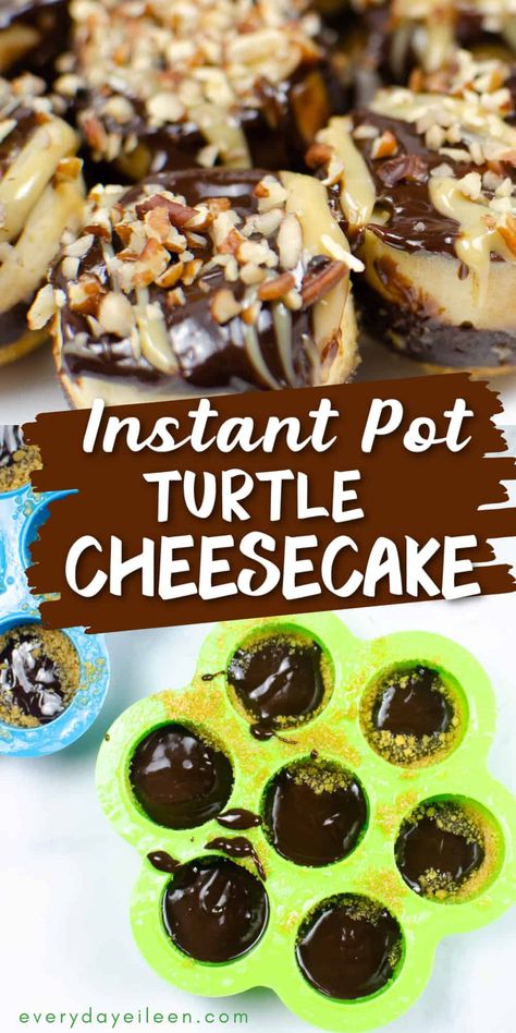 Turtle Cheesecake made easy to prepare in the Instant Pot. A graham cracker crust with chocolate ganache and a creamy cheesecake filling topped with nuts are individual dessert treats that the whole family will enjoy. Mini Turtle Cheesecake Recipe, Mini Turtle Cheesecake Bites, Instant Pot Peanut Butter Cheesecake, Instant Pot Turtle Cheesecake, Caramel Turtle Cheesecake, Mini Cheesecakes Easy, Turtle Cheesecake, Vegetarian Bake, Individual Desserts