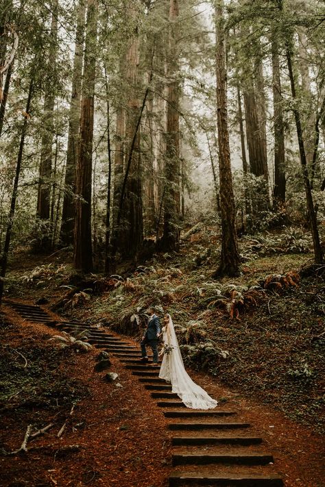 Redwood Wedding California, Redwoods Elopement, Redwood Forest Wedding, Muir Woods National Monument, Woods Wedding, Redwood Wedding, Forest Theme Wedding, Earthy Wedding, How To Elope