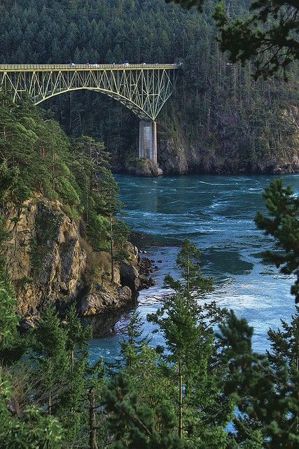 Oak Harbor Washington, Fellow Traveler, Usa Places, Deception Pass, Washington State Travel, Orcas Island, Evergreen State, Whidbey Island, Senior Trip