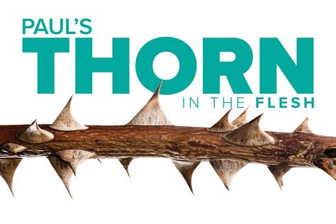 Paul's Thorn in the Flesh - Terradez Ministries Gods Mythology, Study Partner, Thorn In The Flesh, Bible Study Videos, Bible Board, Network Icon, Biblical Truths, Study Bible, Bible Study Lessons