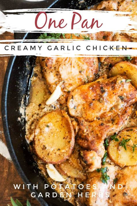 Garlic Chicken With Potatoes, Dutch Oven Chicken Thighs, Dutch Oven Chicken Breast, Caramelized Chicken, Dutch Oven Chicken, Chicken With Potatoes, Cold Weather Comfort Food, Oven Chicken Recipes, Chicken Skillet