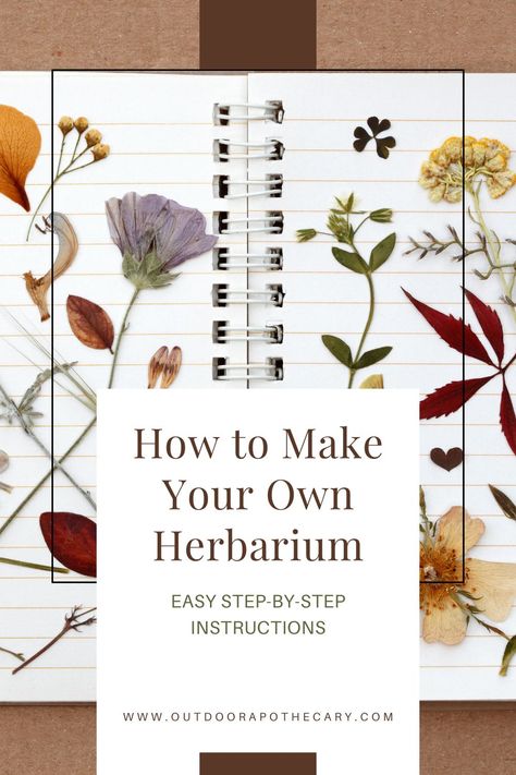 Diy Herbarium Book, Herbarium Book Ideas, Herbarium File, Herbarium Ideas, Herbarium Aesthetic, Herbarium Diy, Botany Journal, Diy Herbarium, Herbarium Sheet