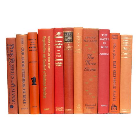 Booth & Williams Vintage Petite ColorPak & Reviews | Wayfair Hardback Books, 12 Books, Greenhouse Plants, Average Height, Chinoiserie Wall, Good Neighbor, Warm Yellow, Desk Bookcase, Vintage Fonts