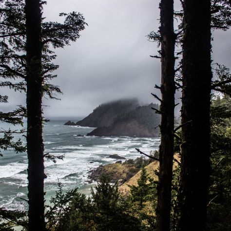 Attention all hiking enthusiasts! Cannon Beach is calling your name with its diverse array of trails. Our guide showcases the best routes for every skill level and interest. Get ready to explore the great outdoors like never before! Oregon Hiking, Hiking Inspiration, Beach Is Calling, Explore Oregon, Oregon Hikes, Ecola State Park, Cannon Beach Oregon, Cascade Mountains, Cannon Beach