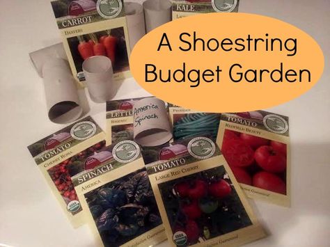 The Shoestring Budget Garden Garden Binder, Malabar Spinach, Shoestring Budget, Garden Calendar, Veggie Patch, Budget Garden, Survival Gardening, Square Foot Gardening, A Lot Of Money