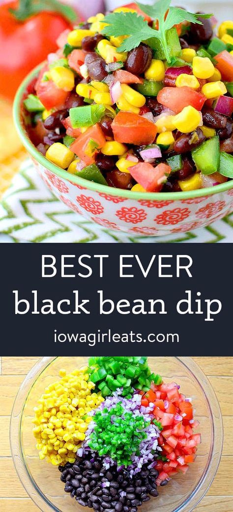 Best-Ever Southwestern Black Bean Dip Black Bean Dip Easy, Black Bean Side Dish Recipes, Black Bean Dip Recipe, Beer Soup, Black Bean Dip, Crock Pot Dips, Best Chips, Iowa Girl Eats, Bean Dip