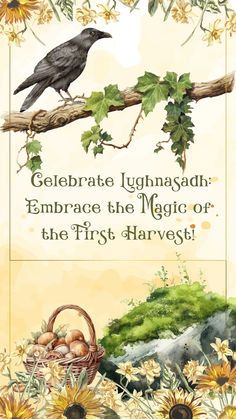 Lughnasadh Blessings, Seasonal Witchcraft, Happy Lammas, Wicca Sabbats, Lammas Celebration, Lammas Lughnasadh, Harvest Ideas, Collage Foto, Pagan Crafts