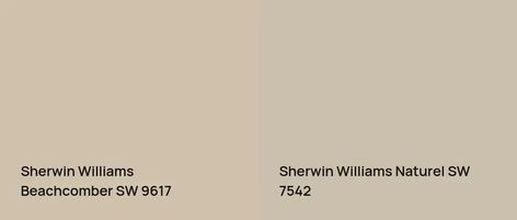 Sherwin Williams Beachcomber SW 9617: 28 real home pictures Sherwin Williams Beachcomber, Beachcomber Sherwin Williams, Warm Paint Colors, Choosing Paint, Monochromatic Color Scheme, Sherwin Williams Paint Colors, Bright Rooms, Colour Field, Paint Shades