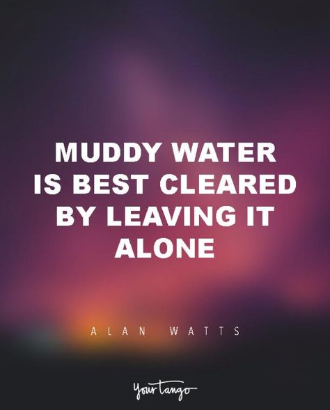 Self Preservation Quotes, Stay Motivated Quotes, Self Preservation, Alan Watts Quotes, Good Man Quotes, Motivated Quotes, Quotes App, Deeper Life, Alan Watts