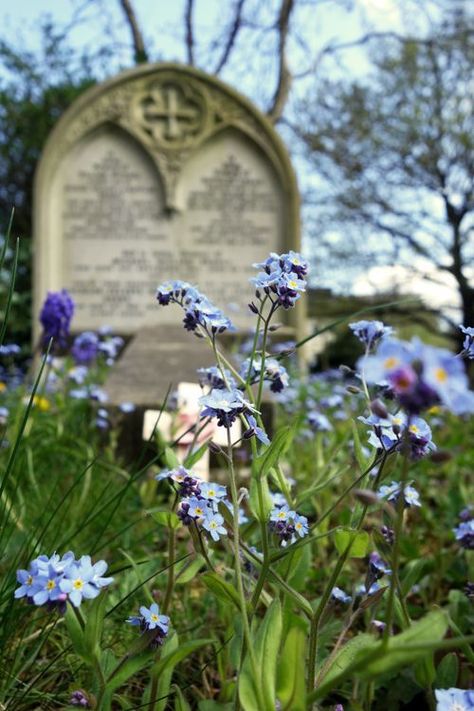 Cementary Photo Aesthetic, Cemetery Aesthetic, Beautiful Grave, Old Cemetery, Love And Gelato, Highgate Cemetery, Environment Painting, Grave Flowers, Old Cemeteries