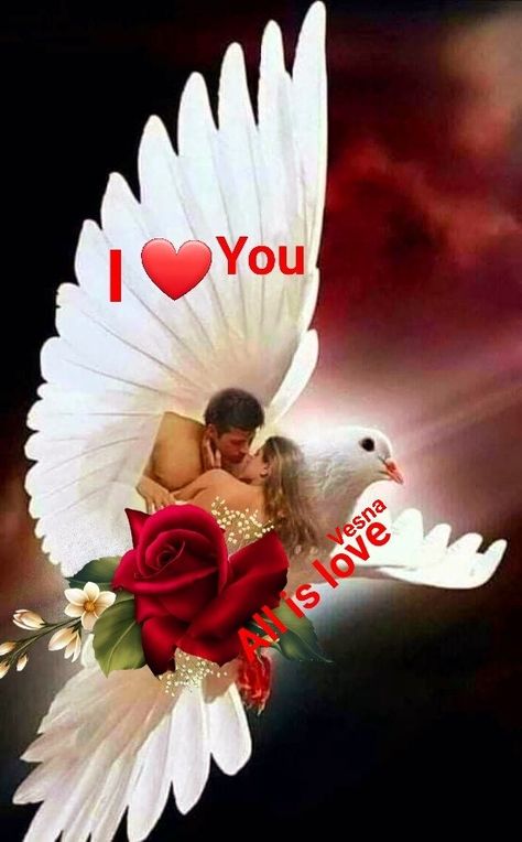 Picture Of Love, Good Morning Animated Images, Romantic Picture, Dove Images, Good Morning Snoopy, Good Morning Love Gif, Dove Pictures, Good Night Love Messages, Love Wallpaper Download