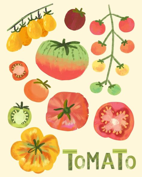 Farmers Market Produce, Tomato Illustration, Plant Collage, Veggie Art, Vegetable Illustration, Wall Decor Kitchen, Pottery Painting Designs, Food Illustration, Heirloom Tomatoes