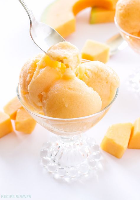 Cantaloupe Sorbet Cantaloupe Sorbet Recipes, Cantaloupe Sorbet, Manwhich Recipes, Recipe Runner, Candy Grapes, Mulberry Recipes, Cantaloupe Recipes, Melon Recipes, Spagetti Recipe