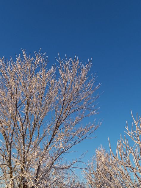 Clear Winter Aesthetic, Winter Snow Aesthetic, Snow Party, Clear Weather, Snow Aesthetic, Nature Winter, Clear Winter, Beautiful Snow, Winter Sky