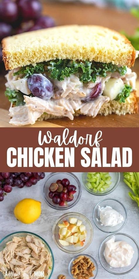 This Chicken Waldorf Salad recipe has been given a healthy make-over and is filled with texture and flavor. Made with tender chunks of chicken, apples, grapes, walnuts, celery, and a bright and tangy Greek yogurt dressing, this is a healthy, high-protein spin on a classic Chicken Salad inspired by a classic Waldorf salad. Waldorf Salad Recipe Chicken, Bee Snacks, Chicken Waldorf Salad Recipe, Waldorf Chicken Salad Recipe, Roast Chicken Salad, Chicken Waldorf Salad, Waldorf Chicken Salad, Sweet Salads, Leftover Roast Chicken