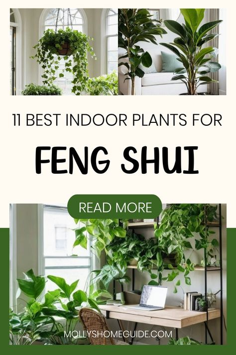 Looking to boost positive energy in your home with the best indoor plants for feng shui? Explore lucky plants like the Snake Plant and Rubber Tree that can attract money and prosperity while also purifying the air. Discover top houseplants for health and wealth, as well as blooming indoor plants perfect for your bedroom. Get expert tips on the placement of feng shui plants to maximize their benefits in your space. Elevate your home's ambiance with these beautiful and beneficial indoor plant sugg Feng Shui Bedroom Plants, Feng Shui Plants Houseplant, Plant Placement In Home, Salon Feng Shui, Lucky Plants For Home, Feng Shui Indoor Plants, Plant Sunroom, Bathroom Plants No Sunlight, Feng Shui Plants