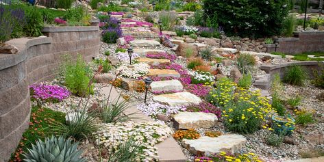 How to DIY a Rock Garden to Transform Your Yard Colour Kitchen, High Country Gardens, Alpine Garden, Rock Garden Plants, Rock Garden Design, Garden Crafts Diy, Rock Garden Landscaping, Ground Cover Plants, Garden Landscape Design