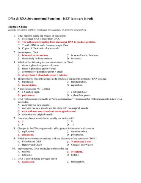 Dna Rna Notes, Dna Structure Notes, Dna And Rna Structure, Dna To Rna, Rna Structure, Genetics Worksheet, Dna Worksheet, Dna And Rna, Dna Analysis